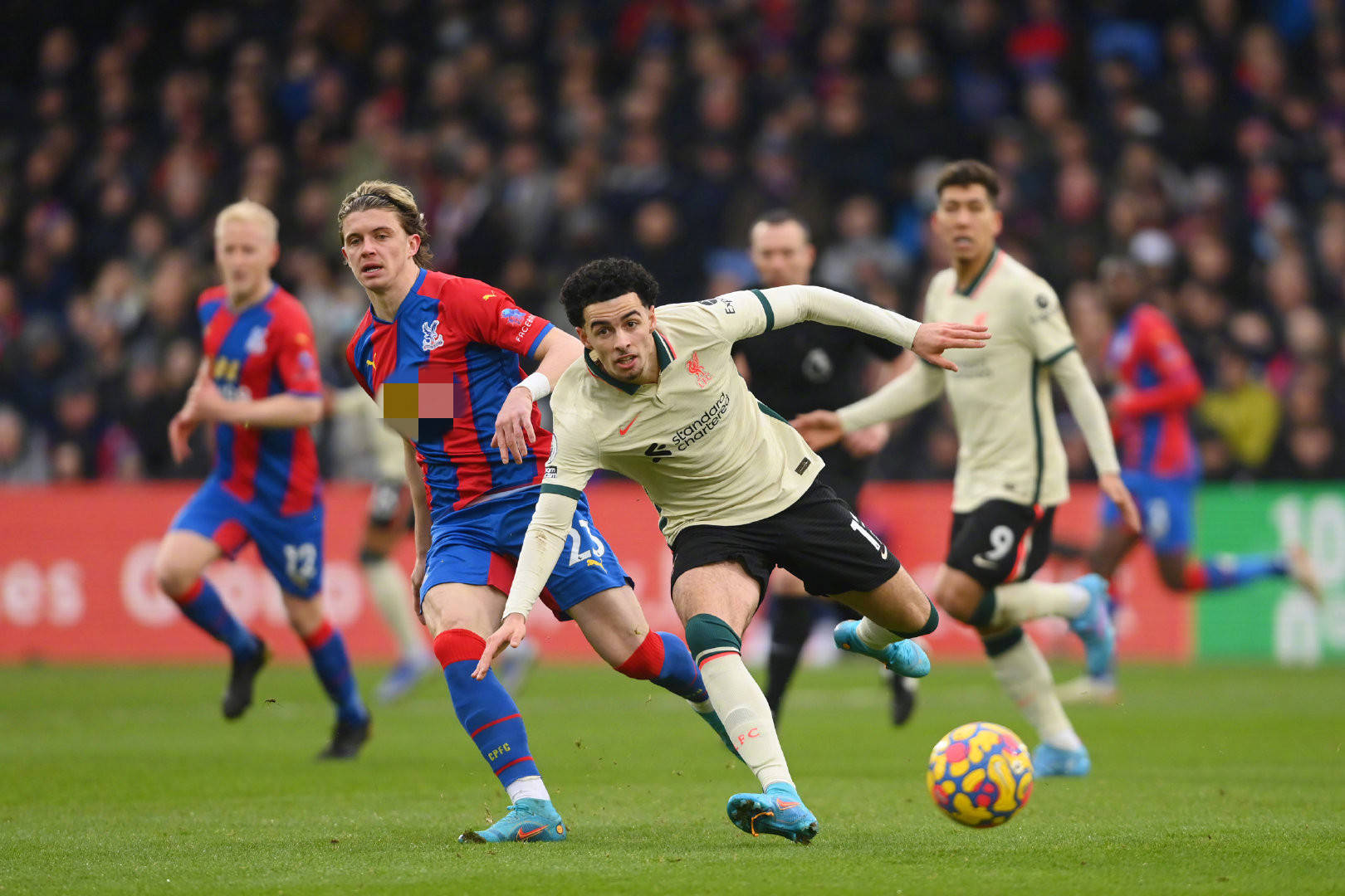 在这场赛事 在这场赛事